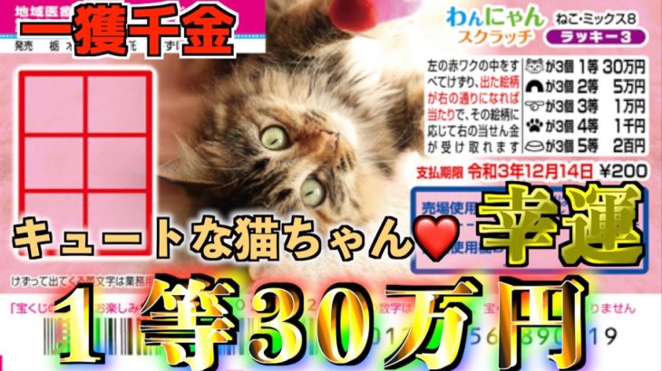 【わんにゃんスクラッチ】１等30万円『ねこミックス８』ラッキー３で猫が幸運を運んできた