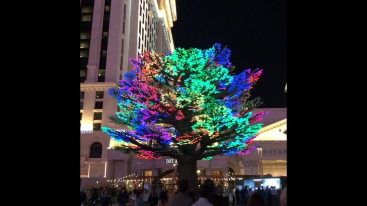 Caesars Palace Las Vegas in March 2019.シーザーズパレス ホテル in ラスベガス. illuminations at night