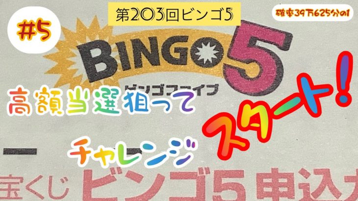 【宝くじ】(#5) 第203回ビンゴ5・チャレンジ❗️高額当選への道❗️