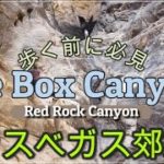 Ice Box Canyon 【ラスベガス郊外・レッドロック】ハイキング