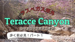 Teracce Canyon 【ラスベガス郊外・上級ハイキング】レッドロックキャニオン