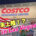 【日本未上陸】Vlog | ラスベガスのコストコビジネスセンターでお買い物