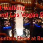 Las Vegasの旅（その１：ラスベガス通りを夜散歩）成田発DELTA便利用 #ラスベガス #ベラッジオ #パリス #シーザースパレス #噴水 #仮想旅