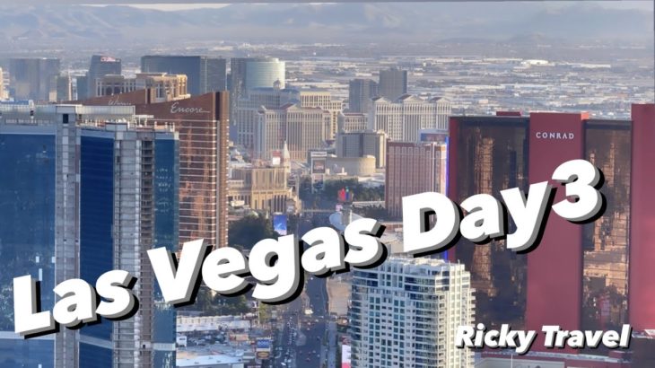 ラスベガス３日目！毎日最高だぜぇ！Las Vegas Day３ Stratosphere　Tower