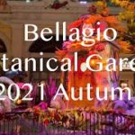ラスベガス ベラージオ植物園 2021年秋/【Bellagio Botanical Gardens 2021 Autumn】