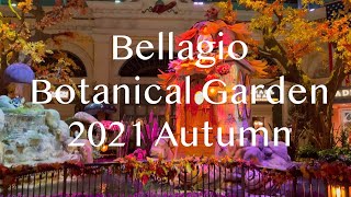 ラスベガス ベラージオ植物園 2021年秋/【Bellagio Botanical Gardens 2021 Autumn】