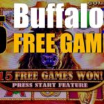 Buffalo gold 4coin Free Game! /ラスベガス・カジノスロット