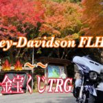 【Harley-Davidson】🍁紅葉🍁🍁〜一攫千金宝くじ購入　ソロTRG              走行動画なしですみません🙇🏻