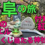 岐阜の旅【下呂のカエル/付知峡の紅葉/宝くじが当たる神社】