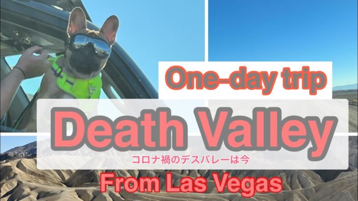 #65 ラスベガス旅行　日帰りでどれくらいデスバレーのポイントを巡れるか　One-day trip to Death Valley from Las Vegas.