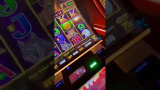 Las Vegas, Slot Machine, Buffalo Gold, Jack pot, ラスベガス、スロットマシーン、ジャックポット