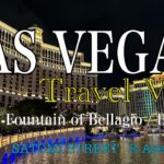 【Las Vegas Vlog】コロナ禍の旅行/ラスベガス/海外旅行/夫婦2人/Travel Guide