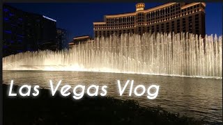 【vlog】ラスベガス観光１日目