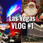 旅行Vlog ｜ラスベガス旅行 3泊5日｜TSJで行く！フリーツアー｜ハプニング旅｜ベラージオ泊｜Las Vegas trip