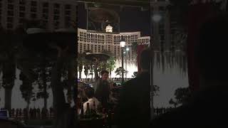 Mon Ami in Las Vegas – Venetian Paris Paris　ベネチアンの噴水ショーを見ながら夕食