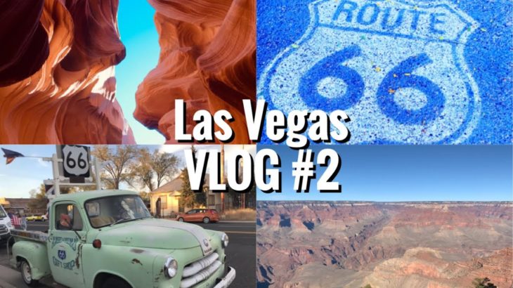 旅行Vlog ｜ラスベガス旅行 3泊5日｜TSJで行く！フリーツアー｜グランドサークル｜ベラージオ泊｜Las Vegas trip