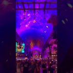 Ziplining and mesmerizing light shows at Fremont Street ✨ #ラスベガス #海外旅行 #ジップライン #lasvegas #shorts