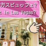 ラスベガス大人気ビュッフェ【ザ・ウィン・バフェ・ラスベガス】海外Vlog/The Buffet at Wynn Las Vegas