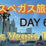 ラスベガス旅行 DAY 6  Las Vegas Trip DAY 6 (アメ万/10KUS No.113)
