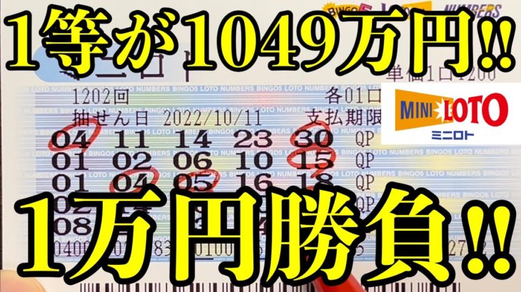 【宝くじ】ミニロトを１万円分(５０口)購入して勝負しました！！