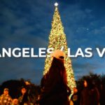 新婚旅行Vlog 【Travel to USA】ロサンゼルス・ディズニー・ラスベガス