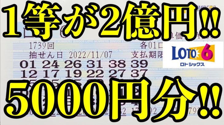 【宝くじ】ロト６を５０００円分(２５口)購入して勝負！！