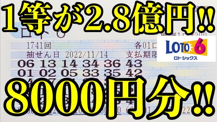 【宝くじ】またロト６を８０００円分(２５口)購入して勝負！！