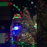 【Las Vegas Illumination】ラスベガスのクリスマス