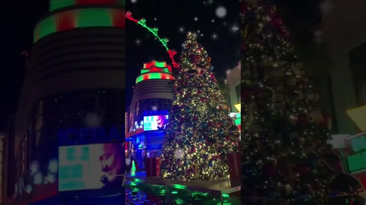 【Las Vegas Illumination】ラスベガスのクリスマス