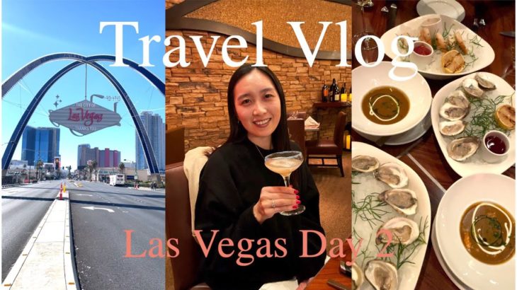 【旅行Vlog】家族でラスベガス旅行｜Day 2