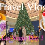【旅行Vlog】家族でラスベガス旅行｜Day 3