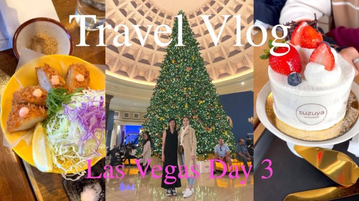 【旅行Vlog】家族でラスベガス旅行｜Day 3