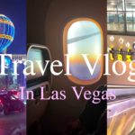 【旅行Vlog】家族でラスベガス旅行｜Day1 part1