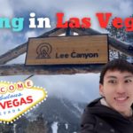 【Vlog】ラスベガスでスキー出来るって知ってた？