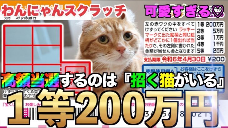 【わんにゃんスクラッチ】１等200万円。招き猫が奇跡の高額当選を呼ぶ【＃宝くじ】