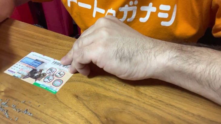 ねこ【宝くじ】１等５万円